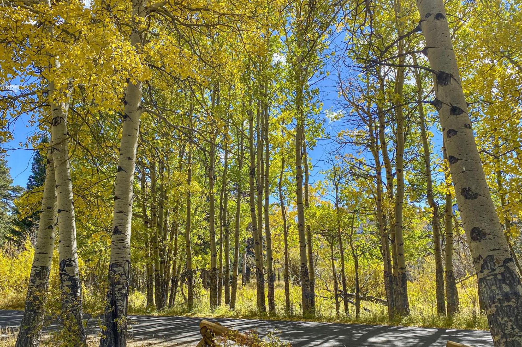 Villa Fairways & 14Ers Estes Park Exterior foto